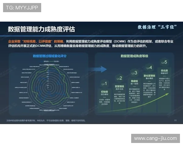 深入解析杭州篮球队战术表现与数据分析的关联性与影响因素