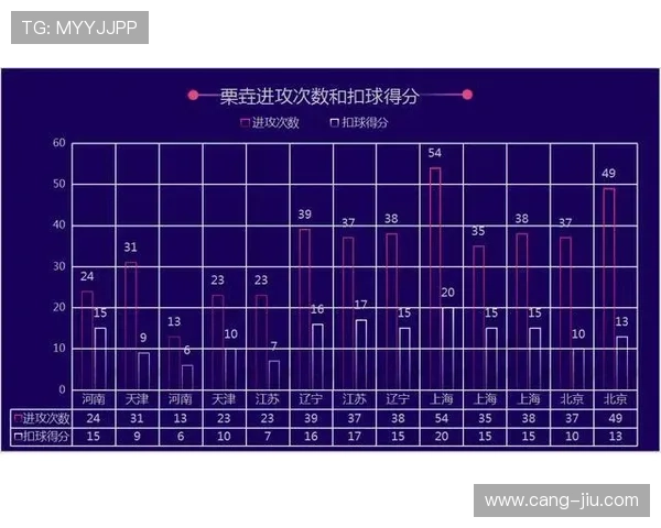 深圳排球队技术对比深度解析与未来发展趋势探讨