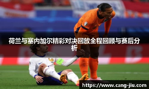 xingkong.com荷兰与塞内加尔精彩对决回放全程回顾与赛后分析